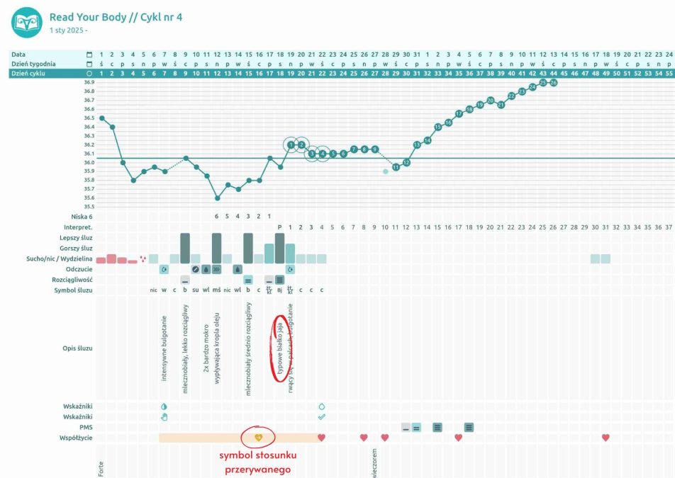NPR a stosunek przerywany